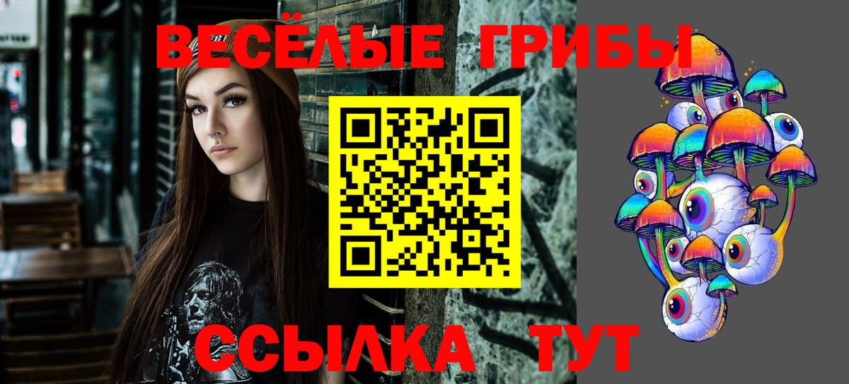 Галлюциногенные грибы GOLDEN TEACHER Новочеркасск