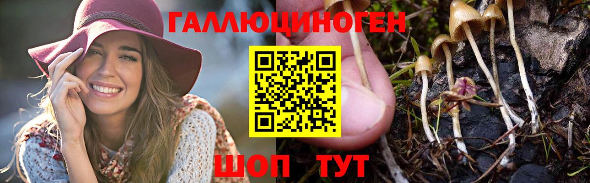 Галлюциногенные грибы ЛСД  Вход с VPN  купить наркотики сайты  Новочеркасск 